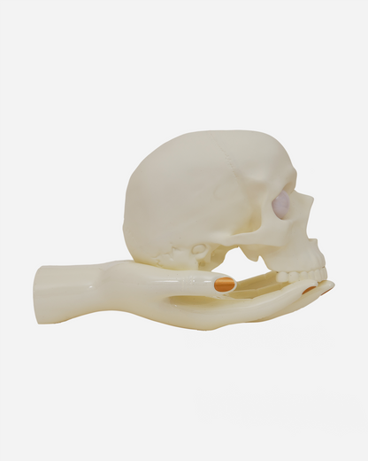 Perks and Mini Skull and Hand Lamp White