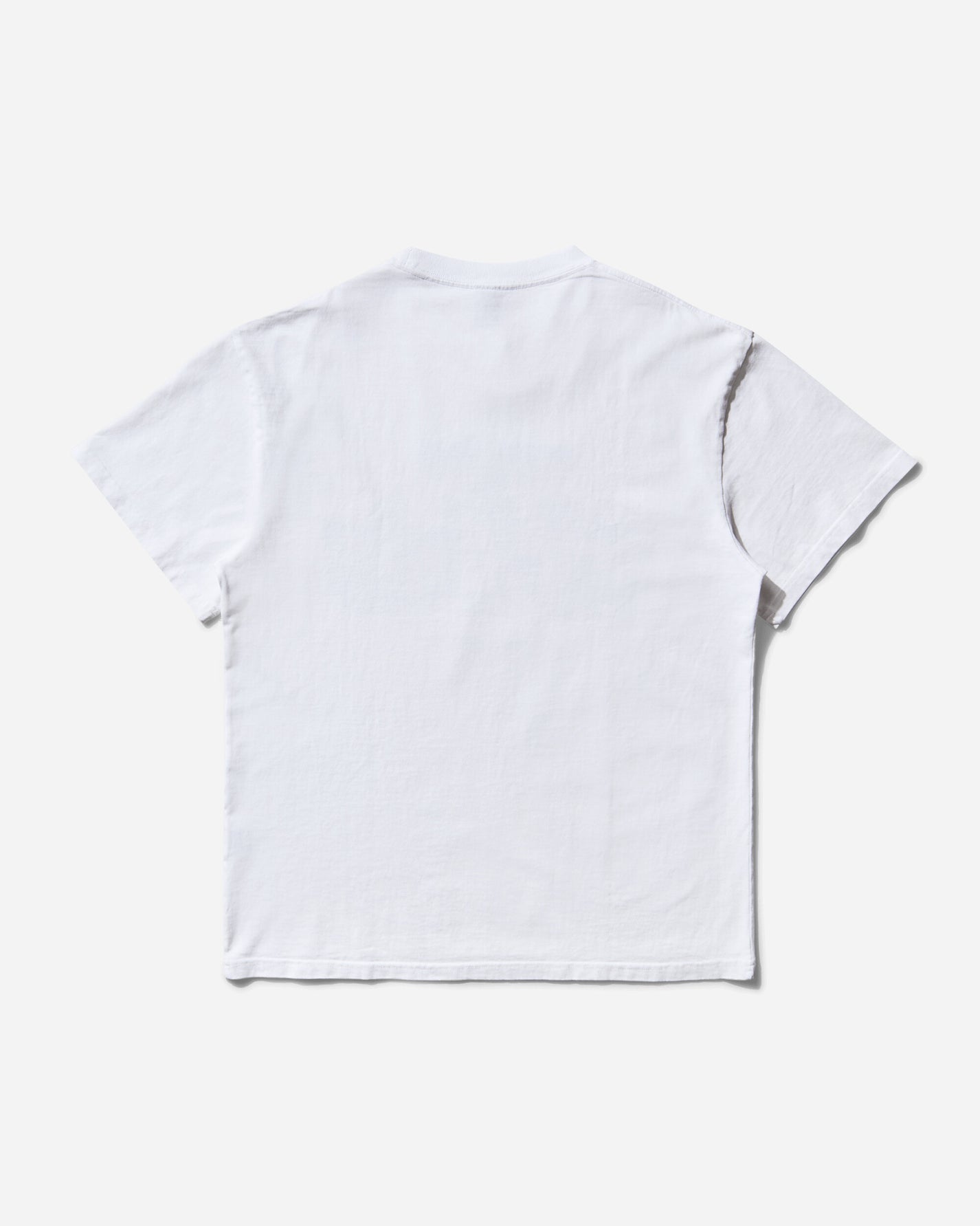 Brain Dead Artificial Paradise T-Shirt White T-Shirts Shortsleeve BDS25T00O044 WHT