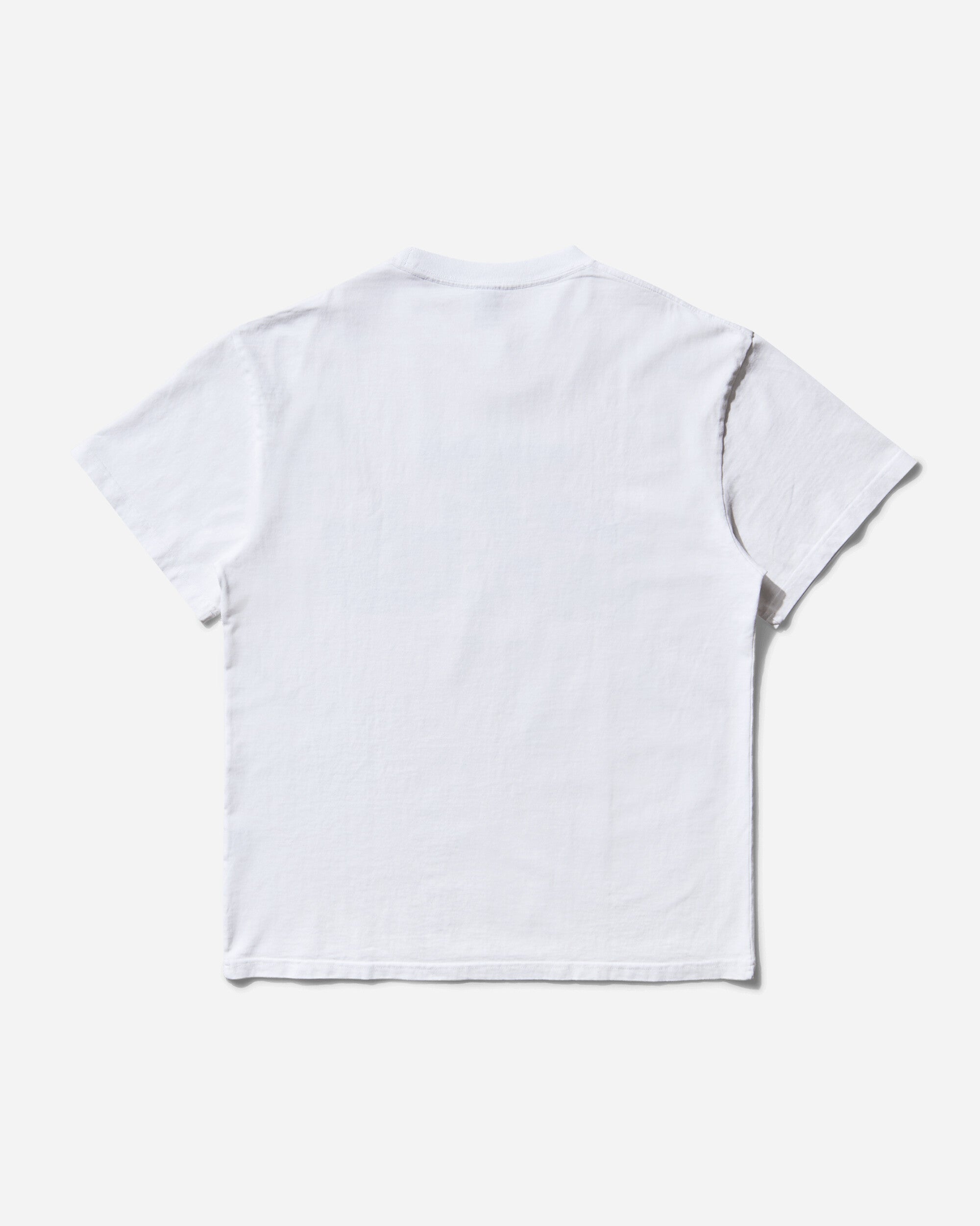 Brain Dead Artificial Paradise T-Shirt White T-Shirts Shortsleeve BDS25T00O044 WHT