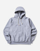 Champion Hooded Sweatshirt Grey Sweatshirts Hoodies 221580 X070