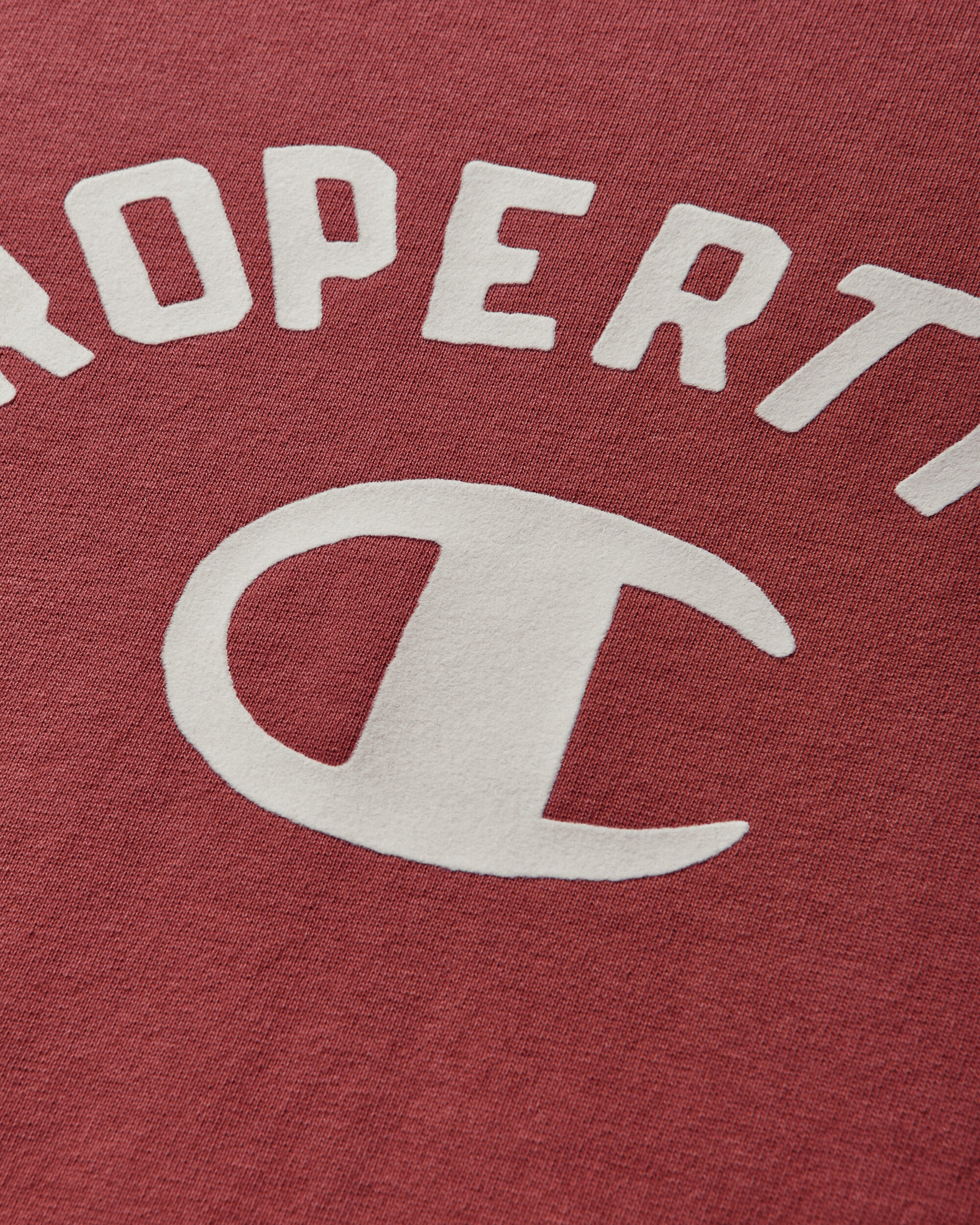 Champion Crewneck Tshirt Red T-Shirts Shortsleeve 222338 RSRPOHTLM