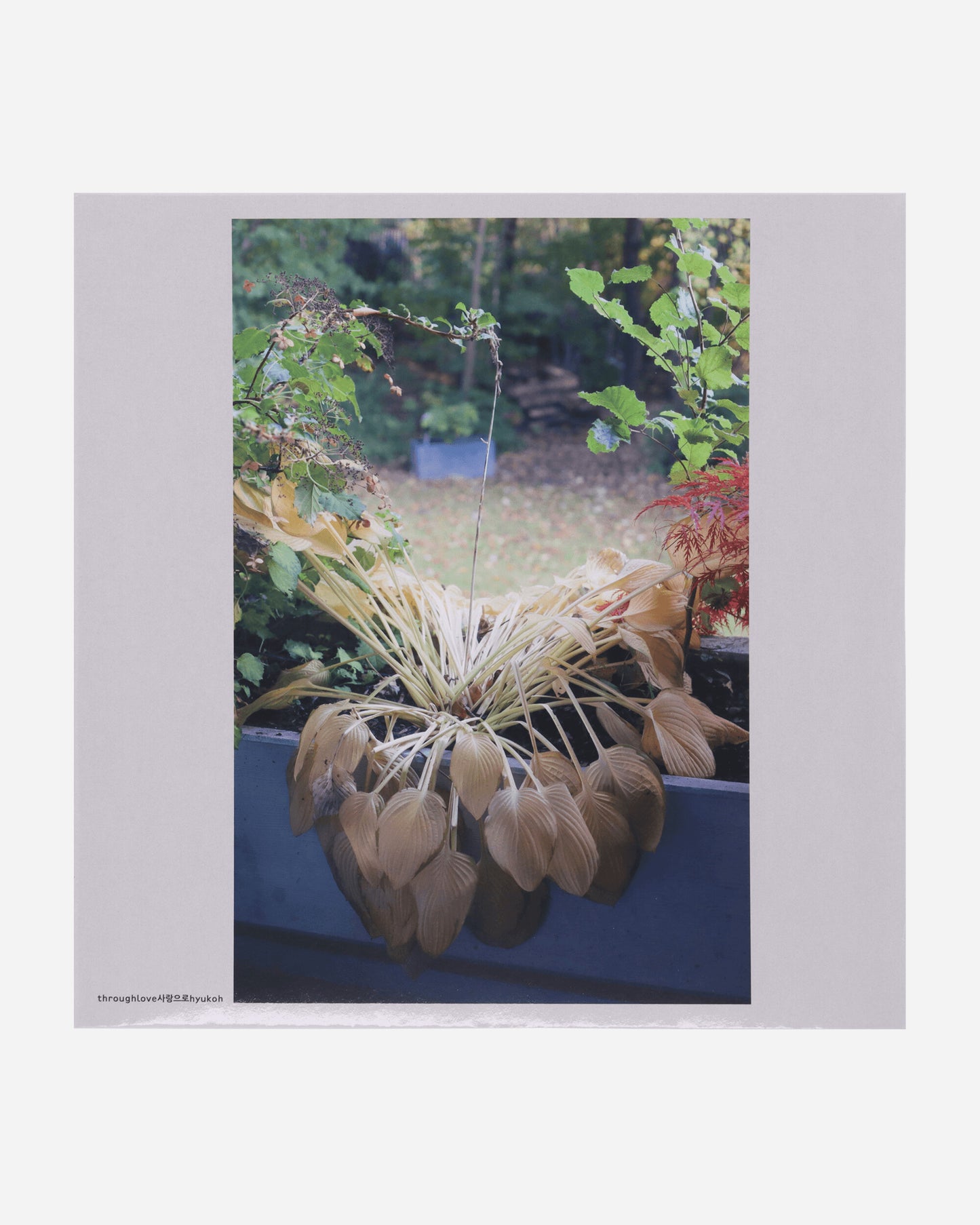 Funeral For A Friend Vinyl Box Set Gray Music Vinyls FFS25VINSET 1