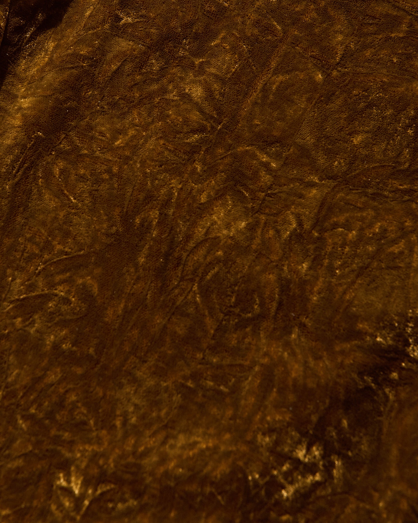 Guess Wmns Gusa Velour Flare Cargo Brown Liqueur Pants Cargo W5BQ05W0260 G1EM