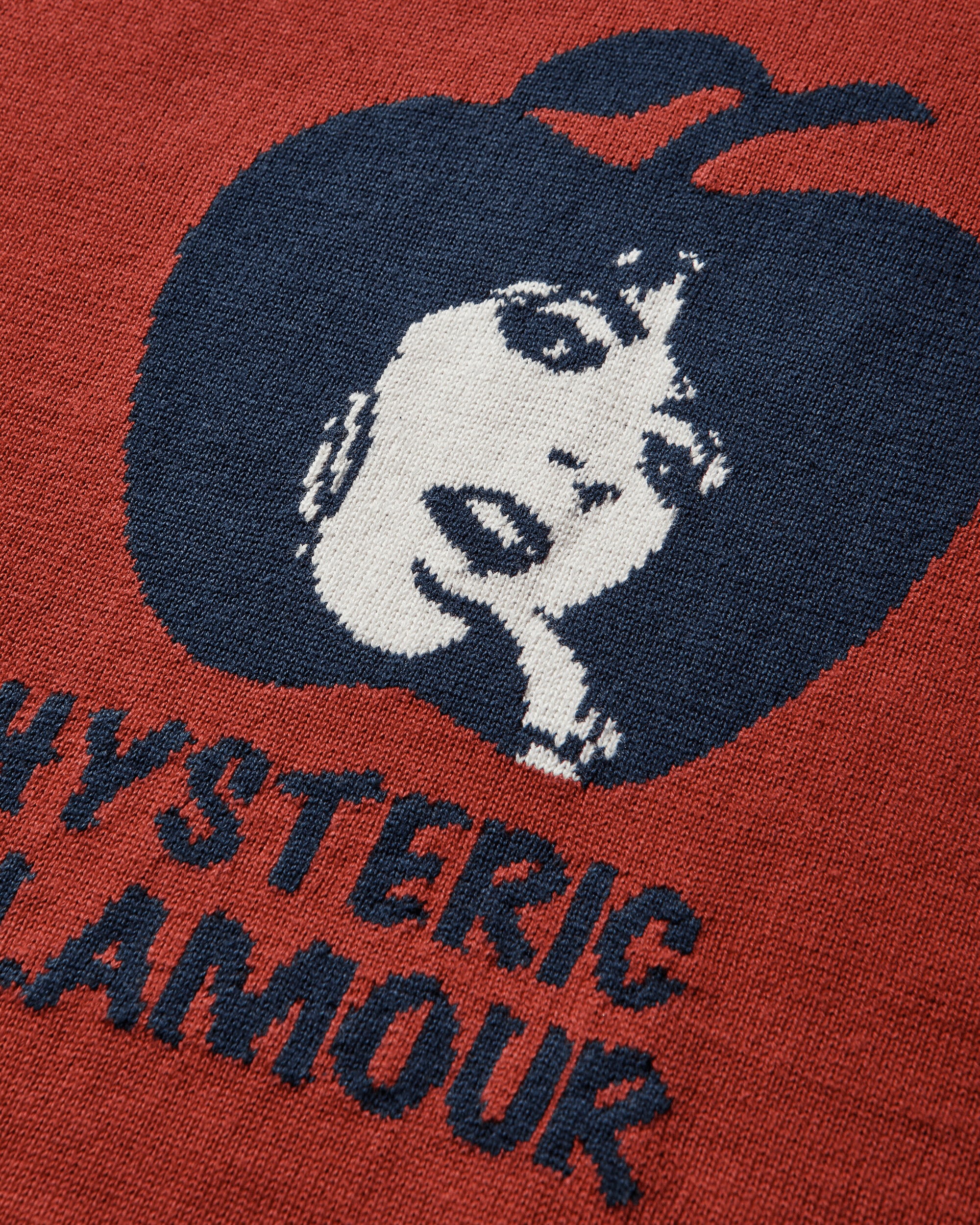 Hysteric Glamour Wmns Apple Girl Knitted Hoodie Multi Sweatshirts Hoodies 01253NS04 50