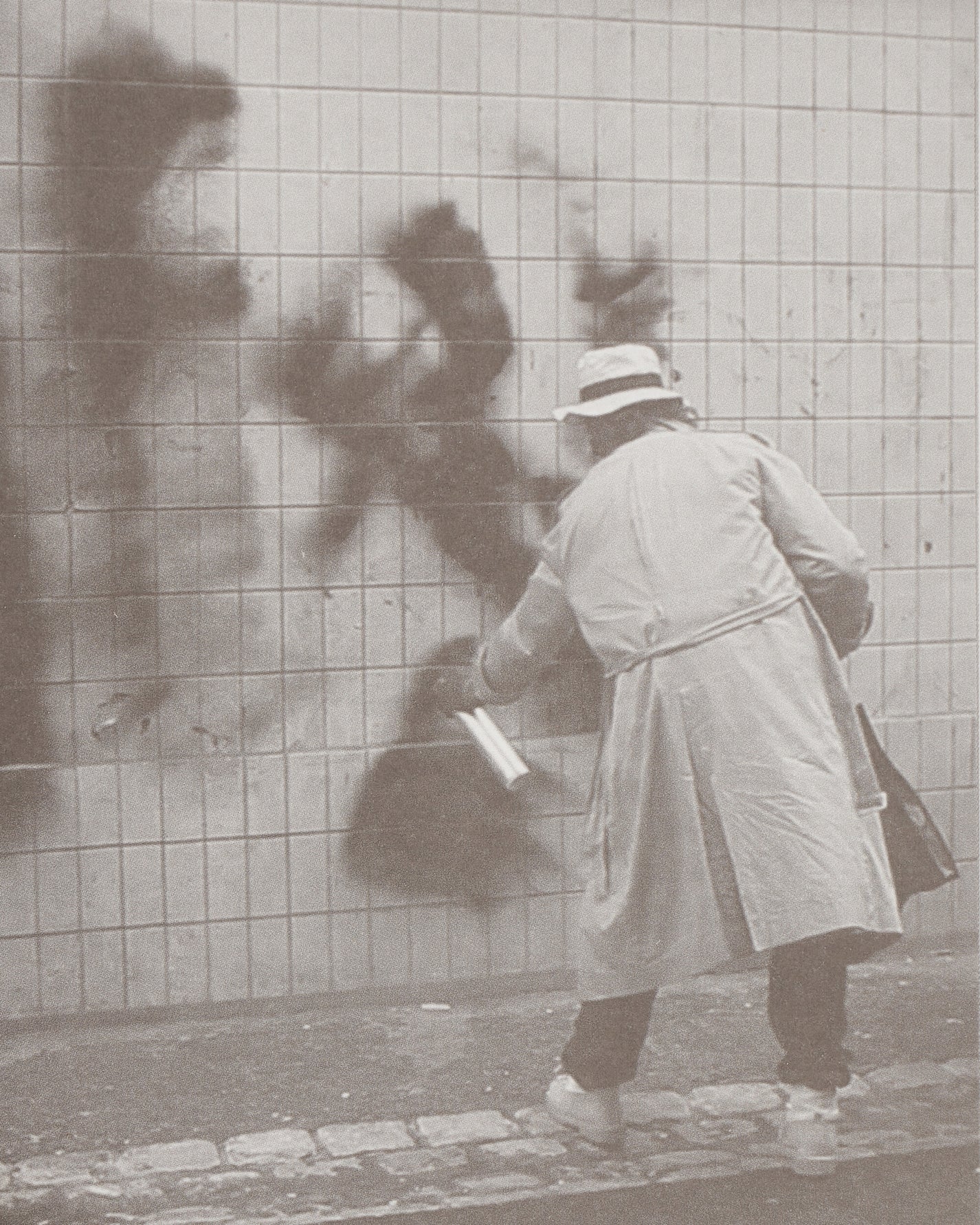 Innen Publishing Saeio: Bintou Courte Multicolor Books and Magazines Books IPSEAEBINT 001