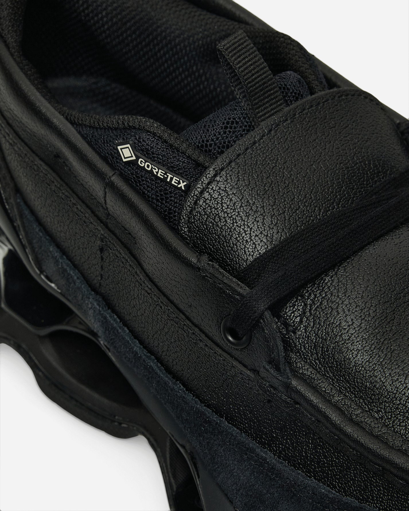 Mizuno Shoe Sl Wave Prophecy Moc GTX Black/Black Sneakers Low D1GD2455-01