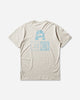 Nike Nike Acg Men's Dri-Fit T-Shirt Sea Glass T-Shirts Shortsleeve IH4416-020