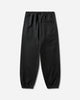 Nike U Acg Tuff Flc Pant Triangle Black/(Summit White) Pants Sweatpants IH0717-010
