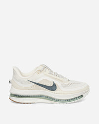 Nike Nike Pegasus Premium Men's Road Running Shoes Pale Ivory/Black Spruce-Jade H Sneakers Low HQ2592-106
