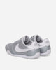 Nike Wmns W Nike Sprint Sister Mtlc Silver/White/Grey Fog Sneakers Low II6984-001