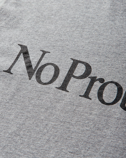 No Problemo No Problemo Ls Tee Grey Marl T-Shirts Longsleeve NP6002205 GREYMARL