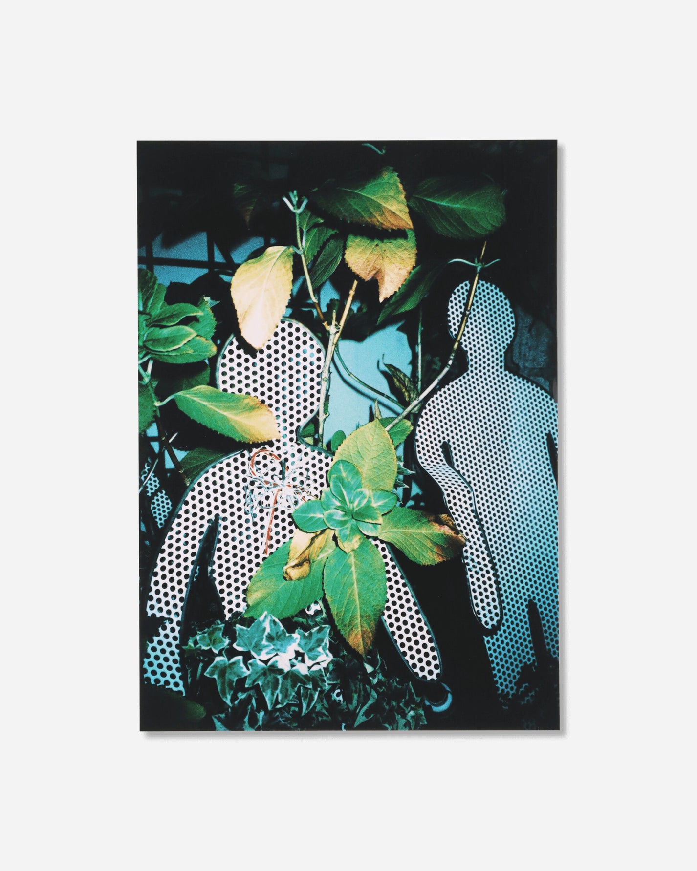 PSY LYF Psylyf Book / Cover A Covera Books and Magazines Books BOOKA 001