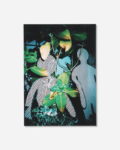 PSY LYF Psylyf Book / Cover A Covera Books and Magazines Books BOOKA 001