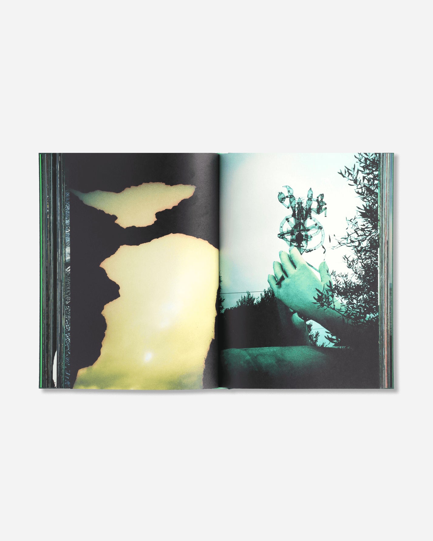 PSY LYF Psylyf Book / Cover C Coverc Books and Magazines Books BOOKC 003