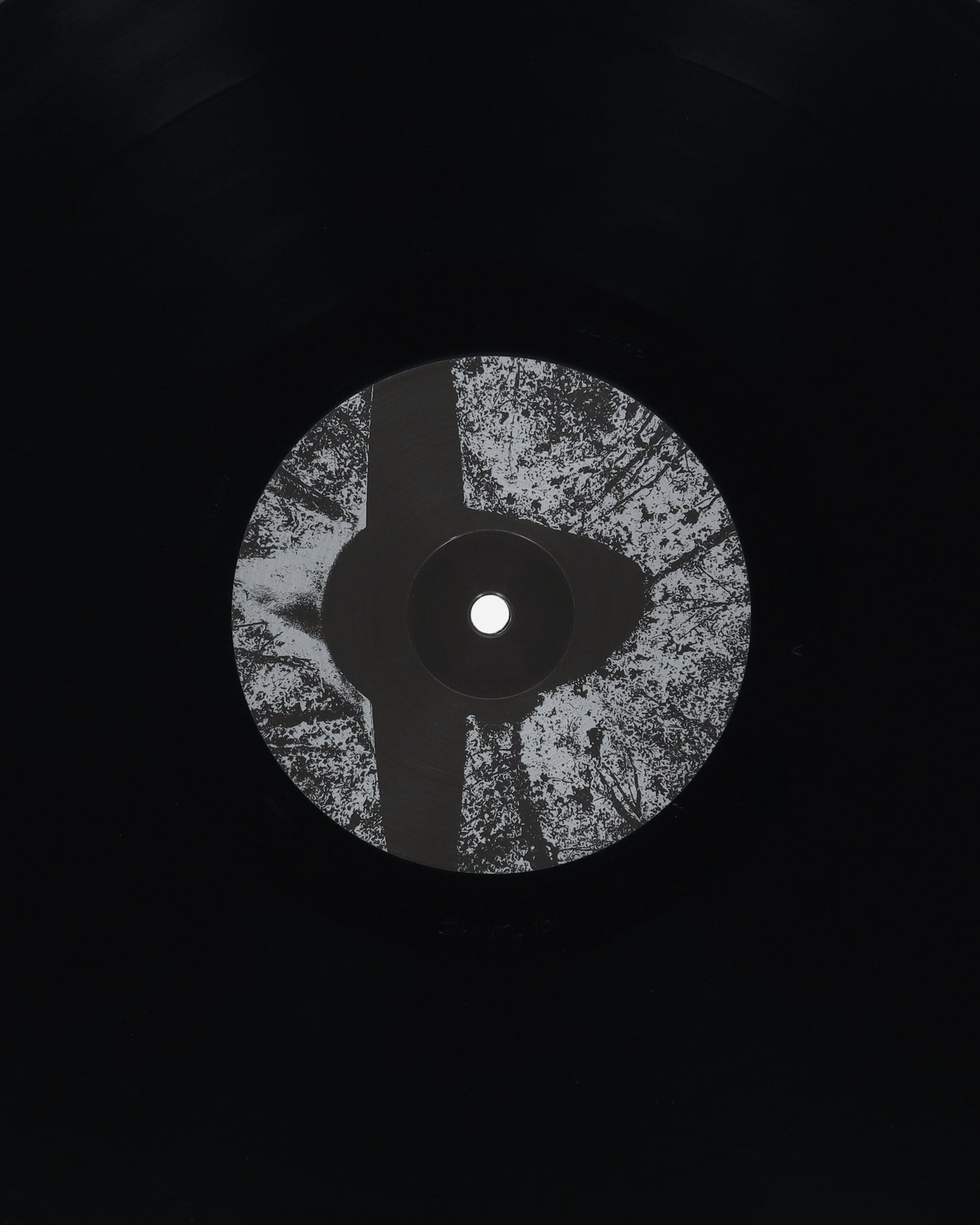 Public Possession L.B. Dub Corp - Saturn To Home Multicolor Music Vinyls DKMNTL101 1