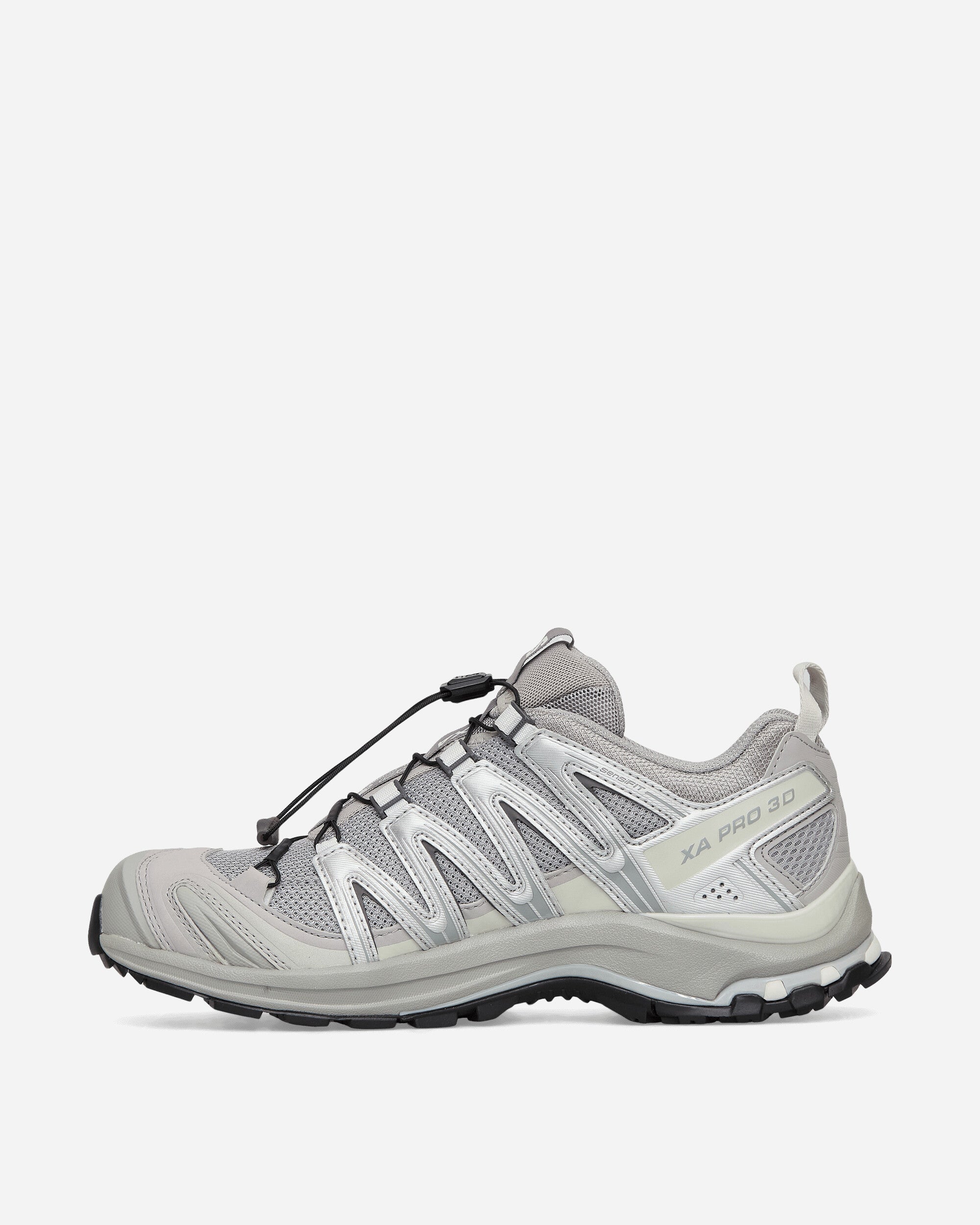 Salomon Xa Pro 3D Alloy/Ftw Silver/Lunroc Sneakers Low L41617500