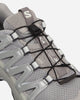 Salomon Xa Pro 3D Alloy/Ftw Silver/Lunroc Sneakers Low L41617500