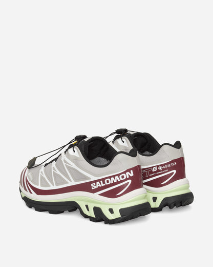 Salomon Xt 6 Gtx Paloma/Maroob/Buttrf Sneakers Low L47991600
