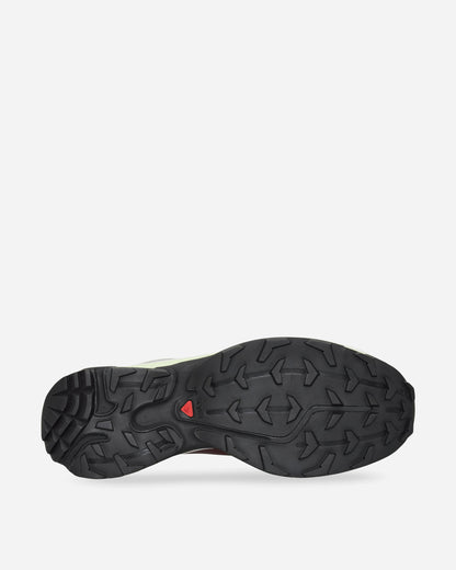 Salomon Xt 6 Gtx Paloma/Maroob/Buttrf Sneakers Low L47991600