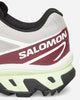 Salomon Xt 6 Gtx Paloma/Maroob/Buttrf Sneakers Low L47991600