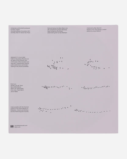 Vinyls Curated by Public Possession Felbm - Cycli Infini Multi Music Vinyls SNDWLP171 001