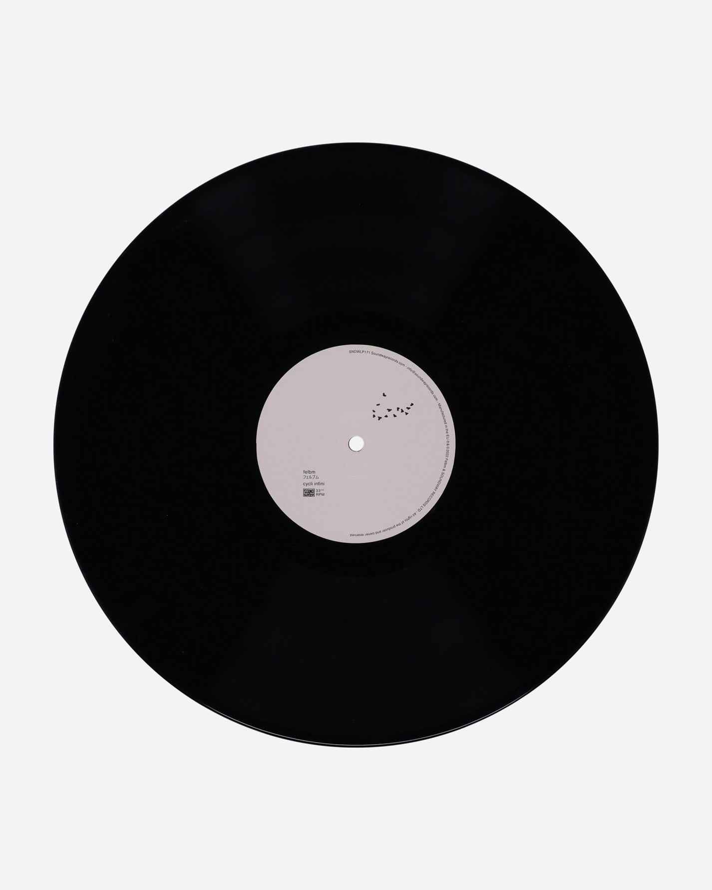 Vinyls Curated by Public Possession Felbm - Cycli Infini Multi Music Vinyls SNDWLP171 001