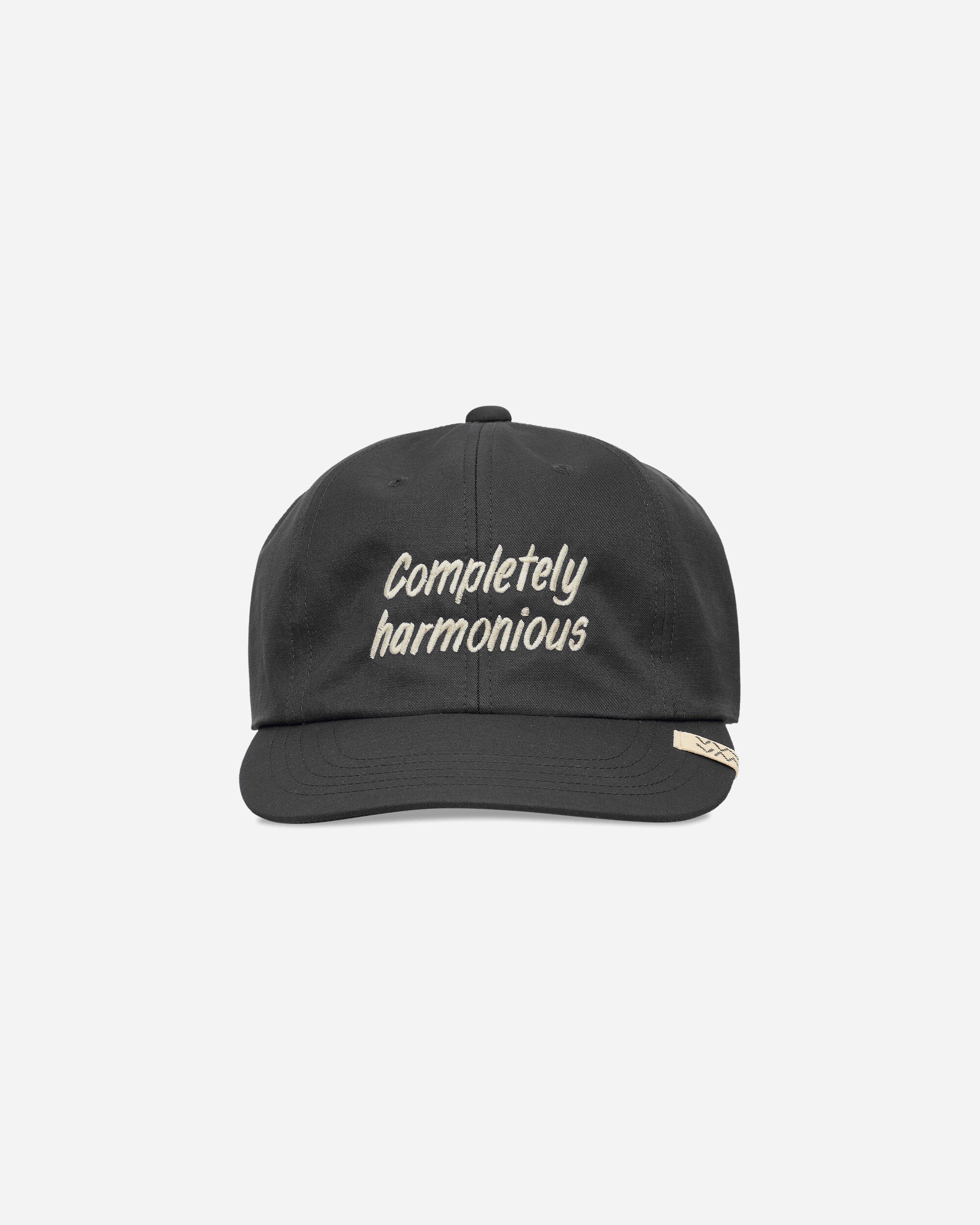 visvim Excelsior Ii Cap Charcoal Hats Caps 0126103003011 1